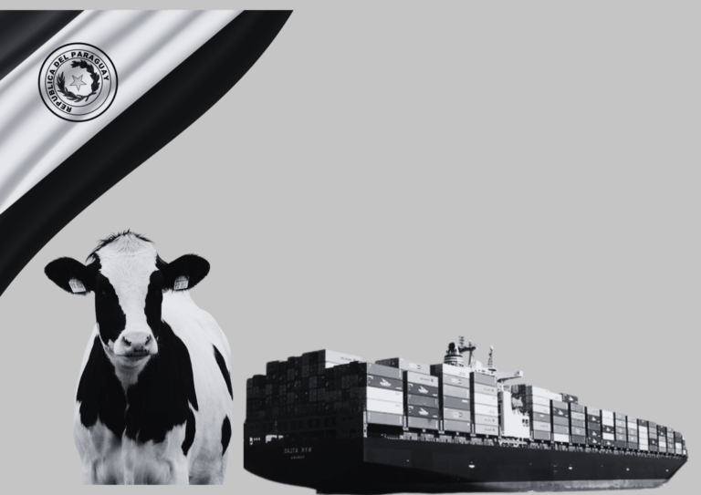 Inflación controlada, exportaciones mixtas: El reto de sostener el crecimiento paraguayo