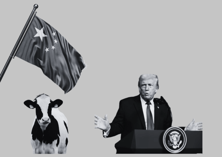 Cuando los mercados deciden recordarnos quién manda